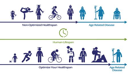 Lifespan .
